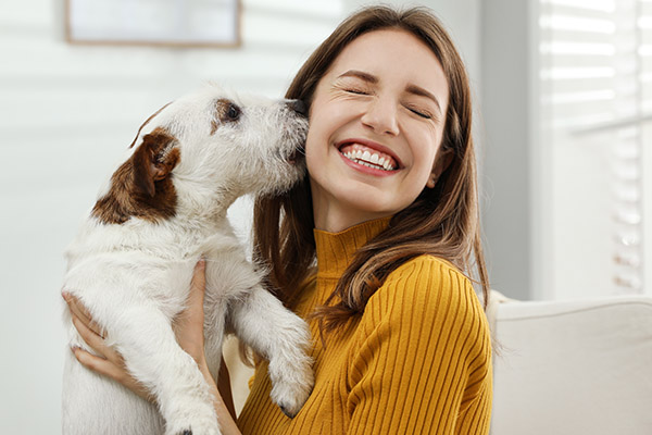 A Comprehensive Guide To Dental Bridges